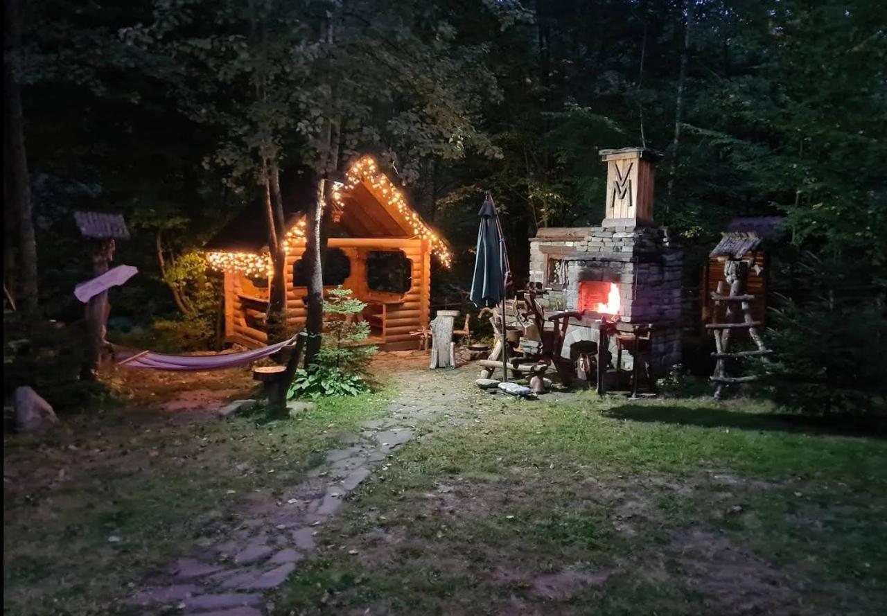 Зарінок Карпат Villa Mykulychyn Luaran gambar