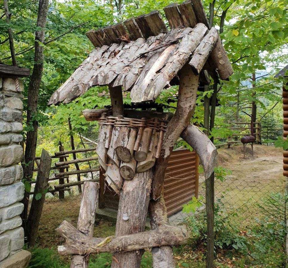 Зарінок Карпат Villa Mykulychyn Luaran gambar