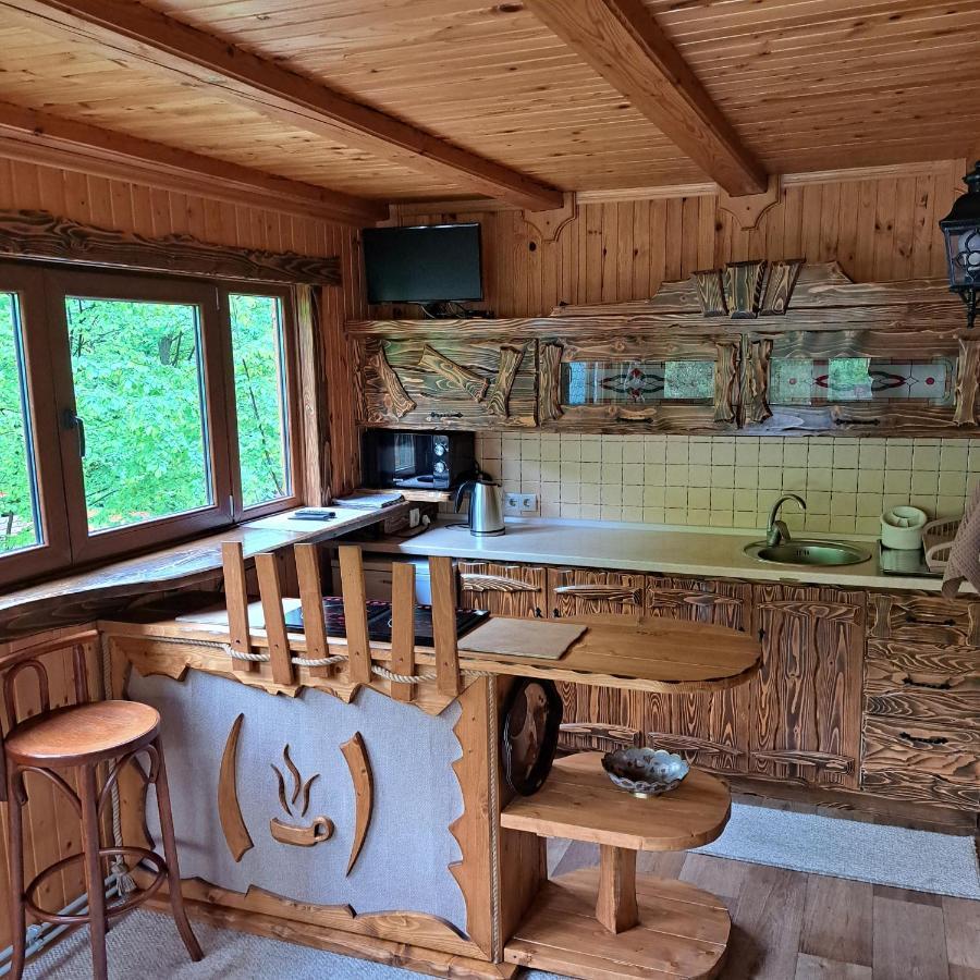 Зарінок Карпат Villa Mykulychyn Luaran gambar