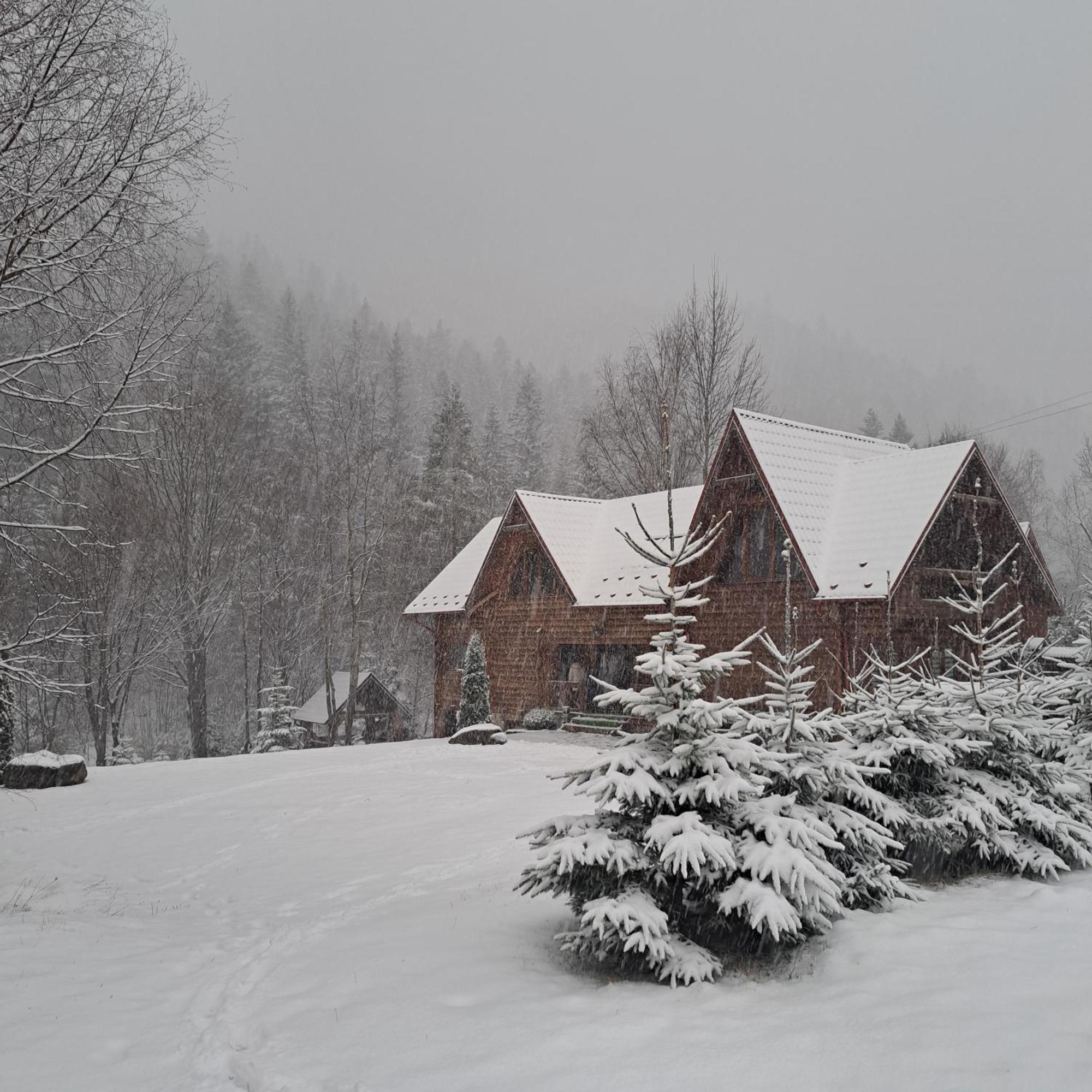 Зарінок Карпат Villa Mykulychyn Luaran gambar